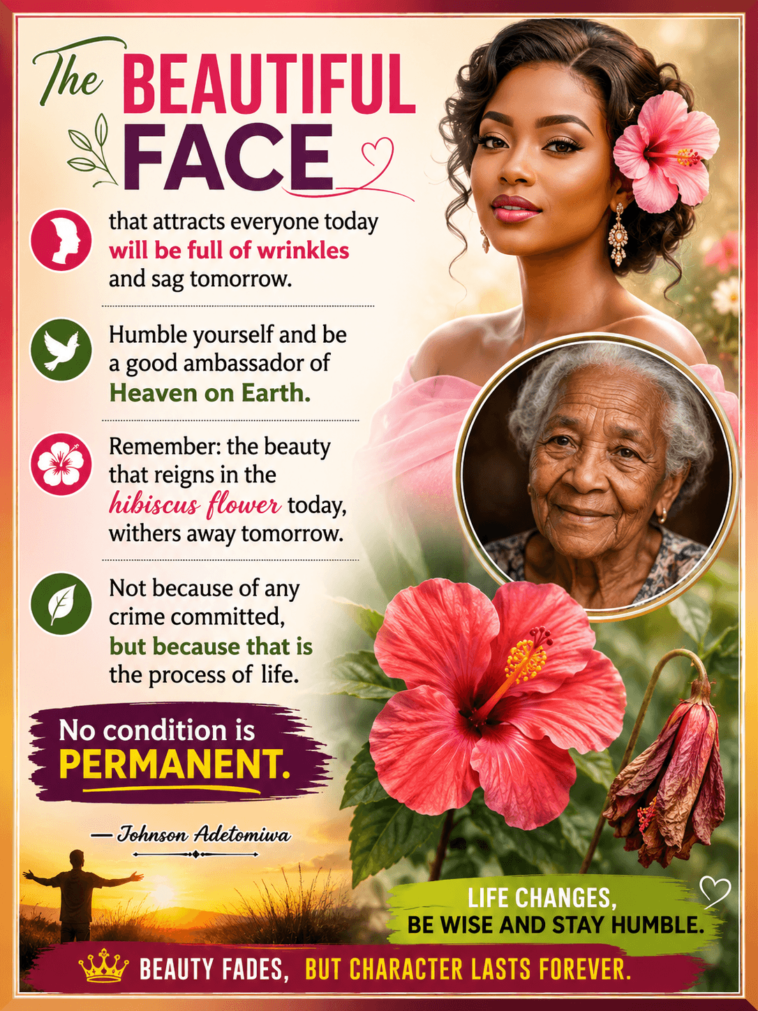 THE BEAUTIFUL FACE